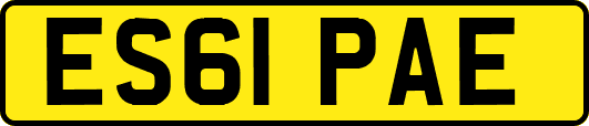 ES61PAE