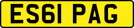 ES61PAG