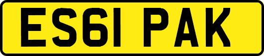 ES61PAK