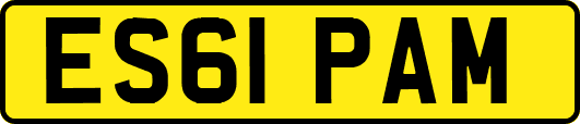 ES61PAM