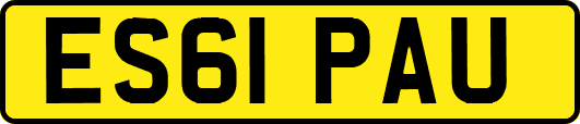 ES61PAU
