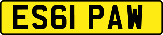ES61PAW