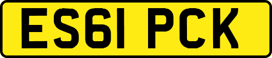 ES61PCK