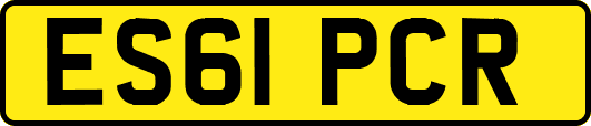 ES61PCR