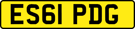 ES61PDG