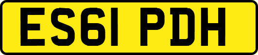 ES61PDH