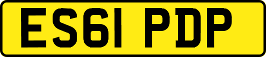 ES61PDP
