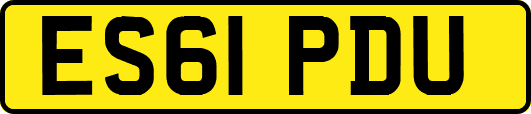 ES61PDU