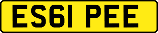 ES61PEE
