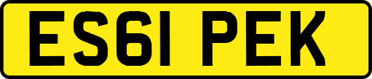 ES61PEK