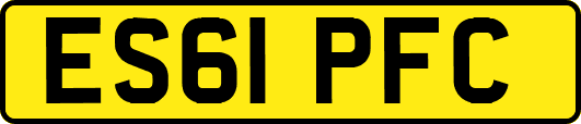 ES61PFC
