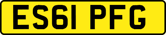 ES61PFG
