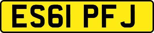 ES61PFJ