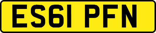 ES61PFN