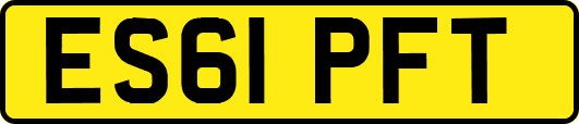 ES61PFT
