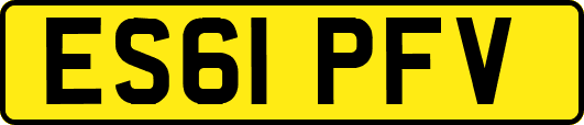 ES61PFV