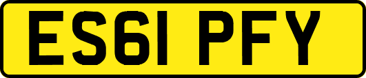 ES61PFY
