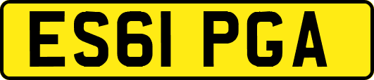 ES61PGA