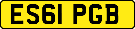 ES61PGB