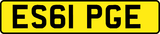 ES61PGE