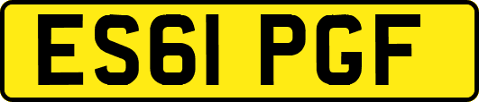 ES61PGF