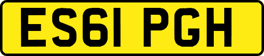 ES61PGH