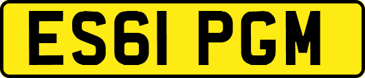 ES61PGM
