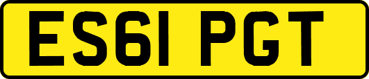 ES61PGT