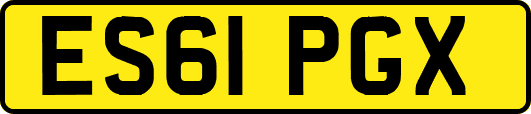 ES61PGX