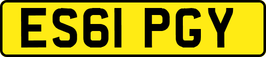ES61PGY