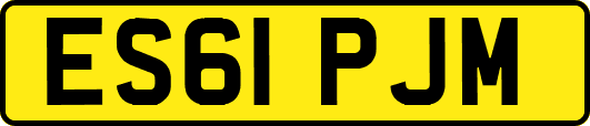 ES61PJM