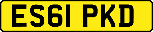 ES61PKD