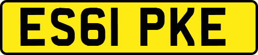 ES61PKE