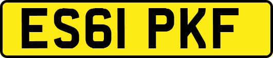 ES61PKF
