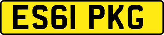 ES61PKG