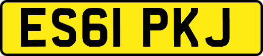 ES61PKJ