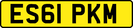 ES61PKM