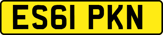 ES61PKN