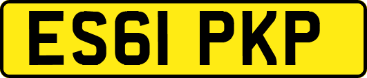 ES61PKP