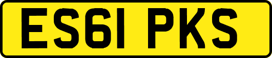ES61PKS