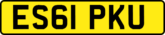 ES61PKU