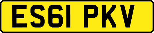 ES61PKV