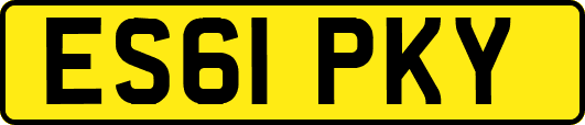 ES61PKY