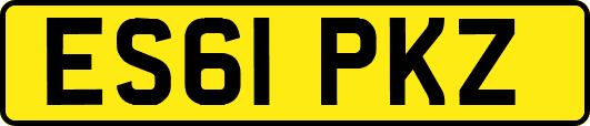 ES61PKZ