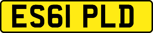 ES61PLD