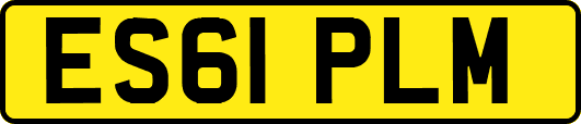 ES61PLM