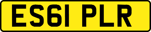 ES61PLR