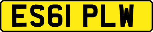 ES61PLW