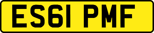 ES61PMF