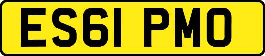 ES61PMO